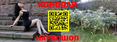 ешки Краснодар
