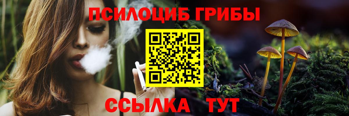 Галлюциногенные грибы Psilocybine cubensis Канаш